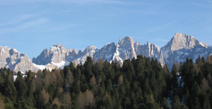 img 0989