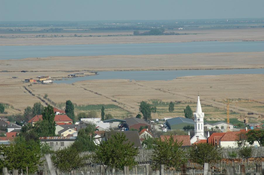 dsc 0966