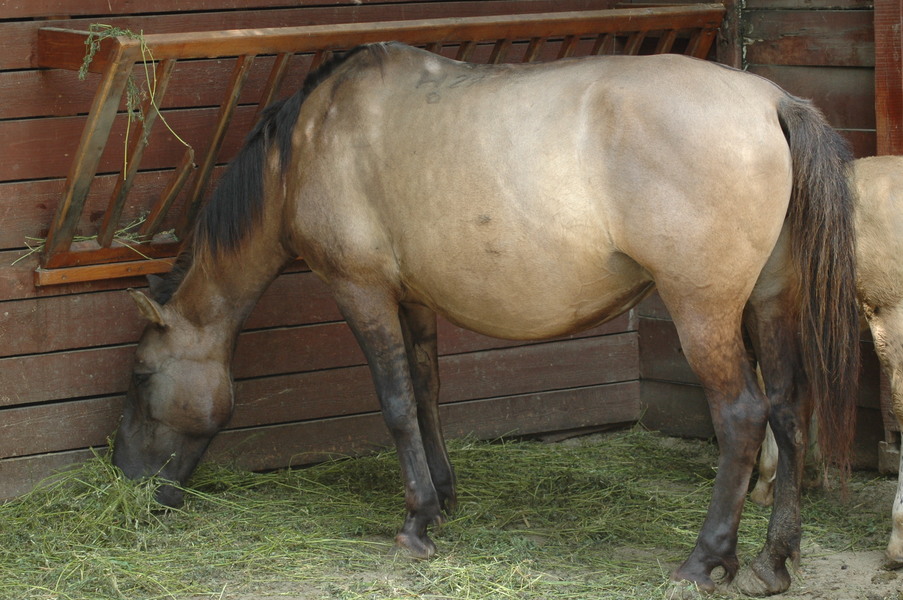 dsc 1870