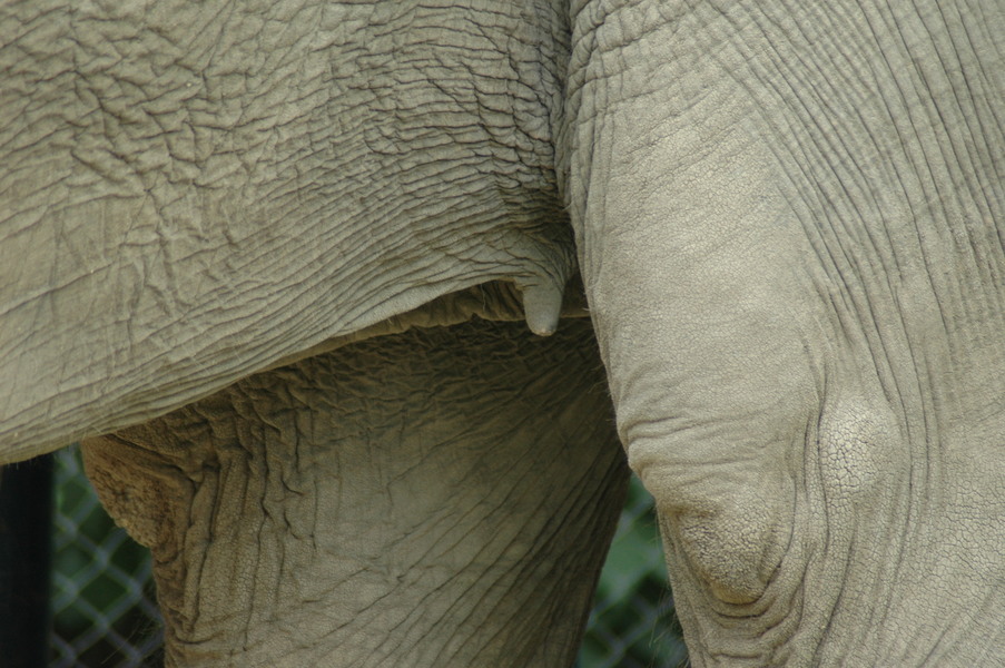 dsc 1936