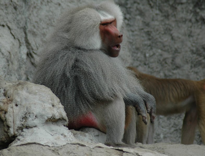 dsc 1964